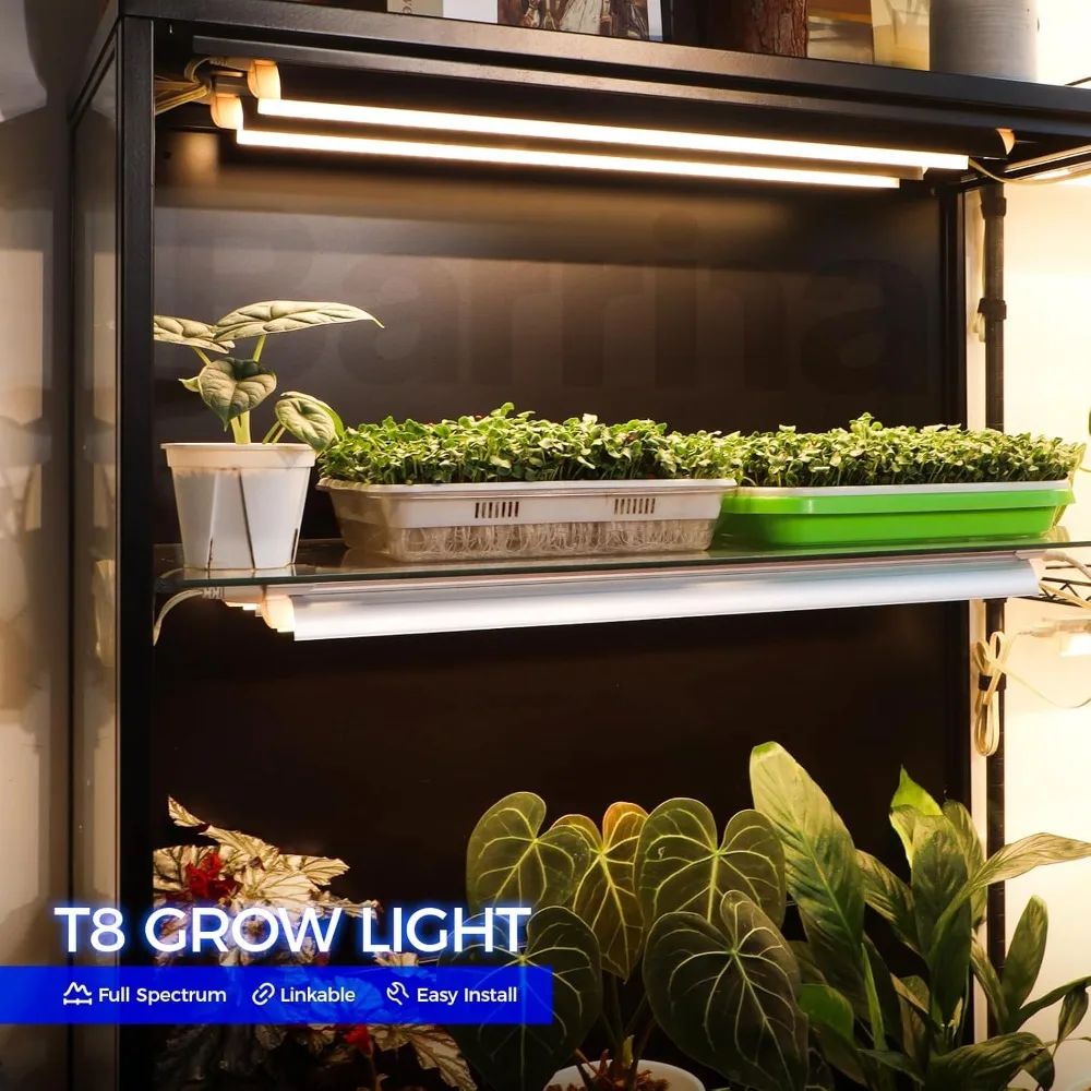 Plant Light, 144W, 2ft T8, Super Bright, Full Spectrum led Grow Light, T8 Integrated Growing Lamp Fixture
Plant Light, 144W, 2ft T8, Super Bright, Full Spectrum led Grow Light, T8 Integrated Growing Lamp Fixture