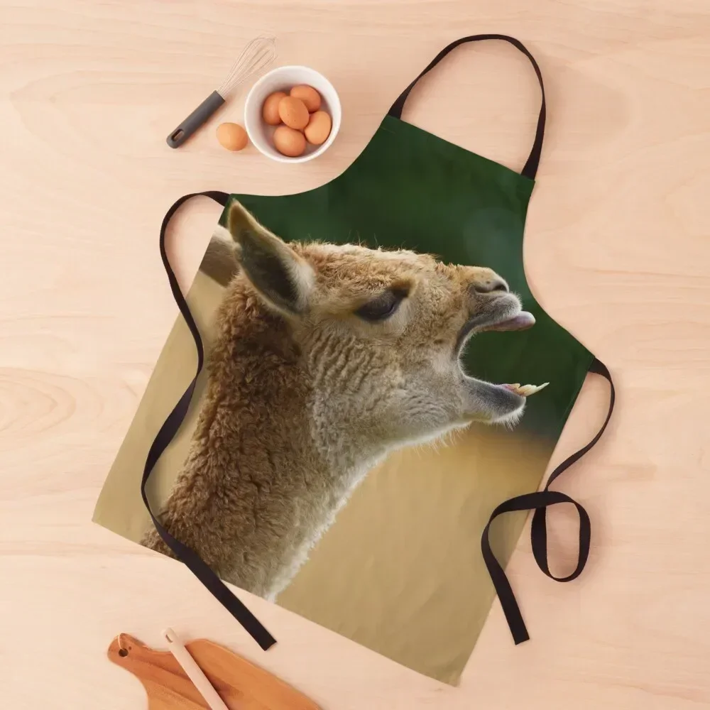 Vicuna Showing His Teeth Apron kitchen utensil Kitchen Supplies Home And Kitchen women's kitchens Apron
Vicuna Showing His Teeth Apron kitchen utensil Kitchen Supplies Home And Kitchen women's kitchens Apron