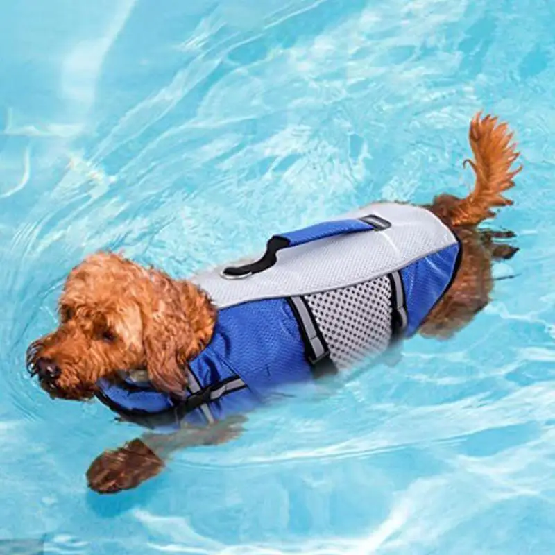 Dog Life Vests For Swimming Dog Swimming Vest Reflective Strips Flotation Support For Outdoor Kayak Pool Travel Lake Beach 
Dog Life Vests For Swimming Dog Swimming Vest Reflective Strips Flotation Support For Outdoor Kayak Pool Travel Lake Beach