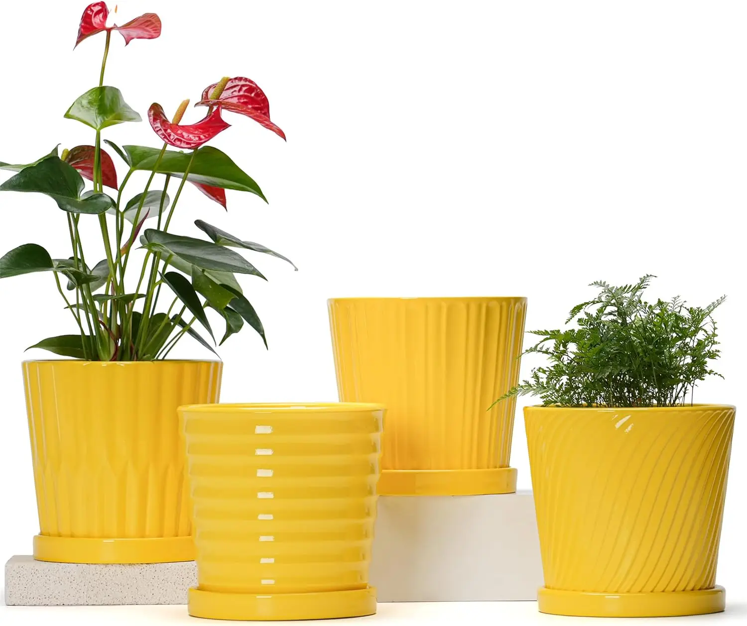 Plant Pots, 6 Inch Flower Pots for Plants,Ceramic Planter with Drainage Holes,Indoor Planter Pots with Saucer,Outdoor Ga
Plant Pots, 6 Inch Flower Pots for Plants,Ceramic Planter with Drainage Holes,Indoor Planter Pots with Saucer,Outdoor Ga