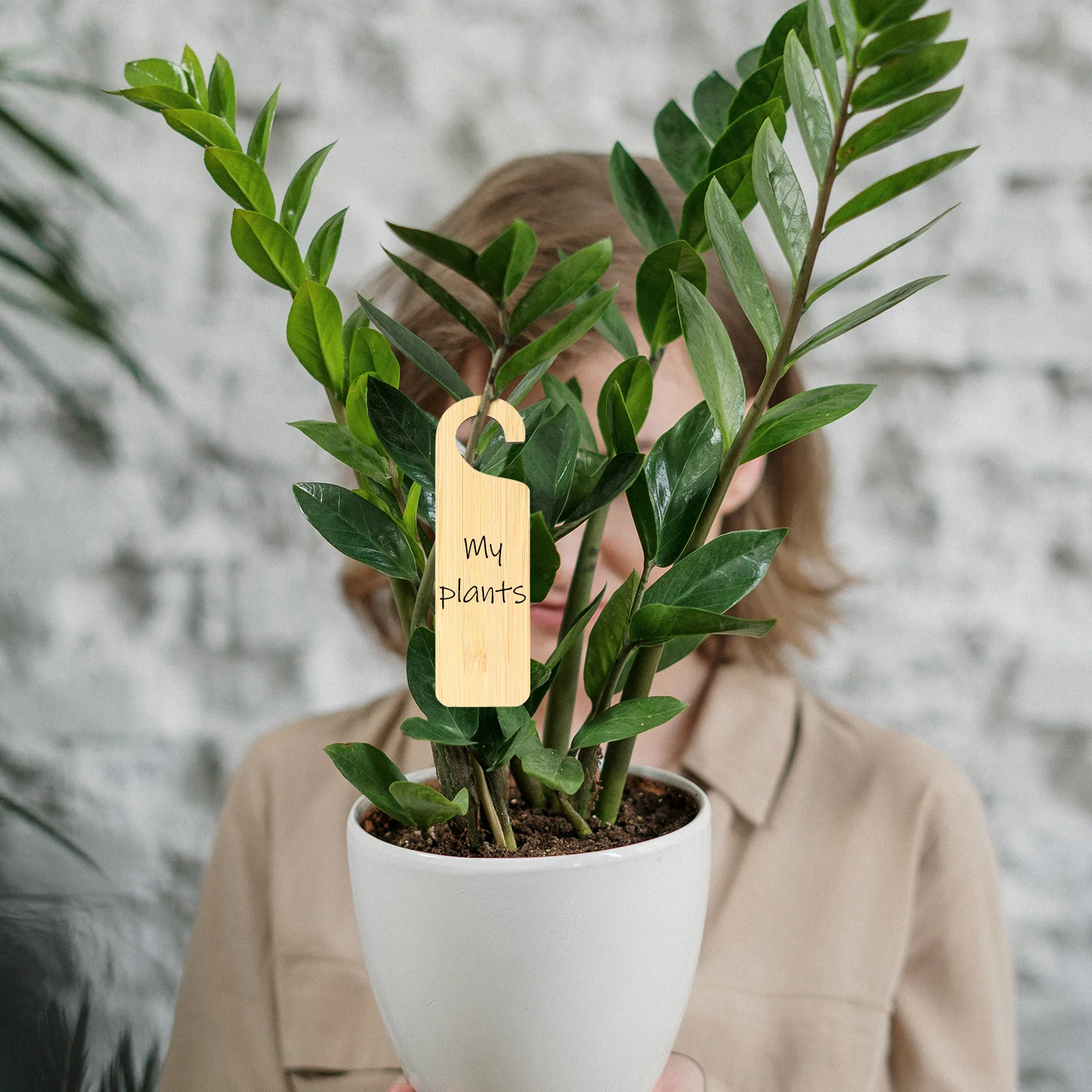 20Pcs Bamboo Plant Labels Hanging Garden Tags Durable Easy Readable Long Lasting Practical Botanical Display Bamboo Plant Tags
20Pcs Bamboo Plant Labels Hanging Garden Tags Durable Easy Readable Long Lasting Practical Botanical Display Bamboo Plant Tags