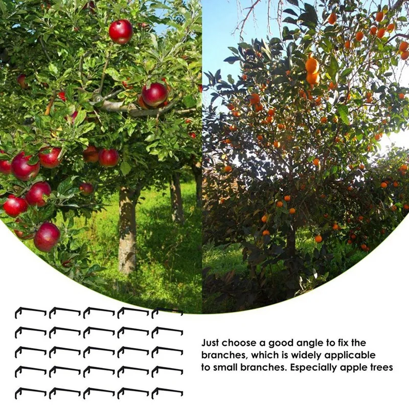 25 Pieces Tree Branch Spreader, Tree Branch Support Frame For Strong Branch On Apples And Other Fruit Trees Reusable Easy To Use
25 Pieces Tree Branch Spreader, Tree Branch Support Frame For Strong Branch On Apples And Other Fruit Trees Reusable Easy To Use