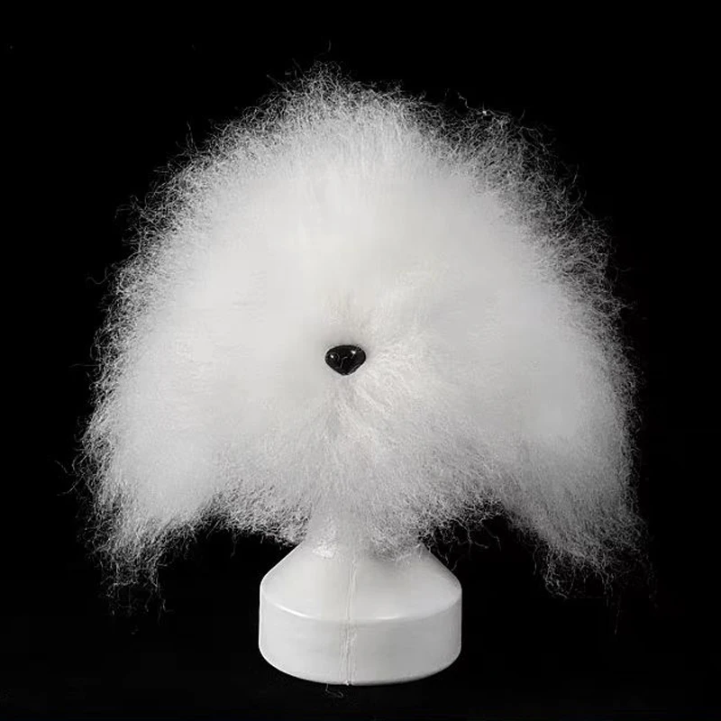 Teddy Dog Head Model Dog Practice Teddy Model Pet Beauty School Practice Skeleton must Be Used with False Hair
Teddy Dog Head Model Dog Practice Teddy Model Pet Beauty School Practice Skeleton must Be Used with False Hair