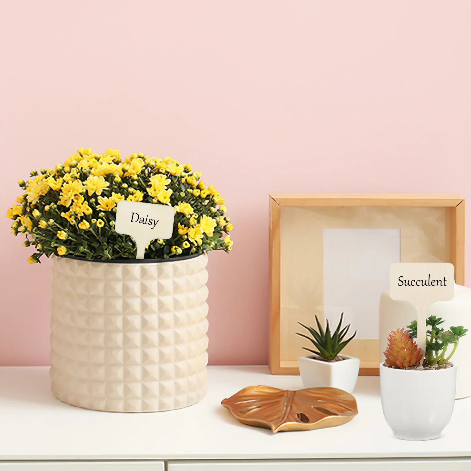 50 pcs Succulent Plant Labels Wooden Garden Tags For Plants Plant Markers Sticks Name Tags Seedling Identification
50 pcs Succulent Plant Labels Wooden Garden Tags For Plants Plant Markers Sticks Name Tags Seedling Identification