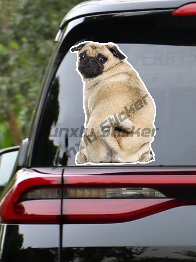 Self-adhesive Decal Pug Dog V5 Car Sticker Waterproof Auto Decors on Bumper Rear Window Motorcycle Laptop Helmet
Self-adhesive Decal Pug Dog V5 Car Sticker Waterproof Auto Decors on Bumper Rear Window Motorcycle Laptop Helmet