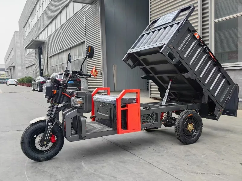 Electric Cargo Tricycle 500 1000 KG Load Stable Steering Control Customized Front Shock Rear Leaf Spring Daily Transport
Electric Cargo Tricycle 500 1000 KG Load Stable Steering Control Customized Front Shock Rear Leaf Spring Daily Transport