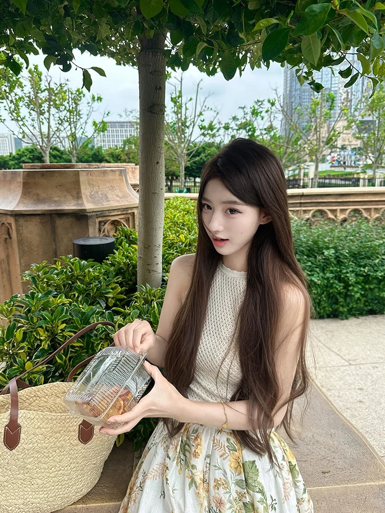 Vacation Set Women's Gentle Rich Girl Style Pure Desire Hollow out Knitted Vest Top Retro Oil Painting Print Skirt Two Piece Set
Vacation Set Women's Gentle Rich Girl Style Pure Desire Hollow out Knitted Vest Top Retro Oil Painting Print Skirt Two Piece Set