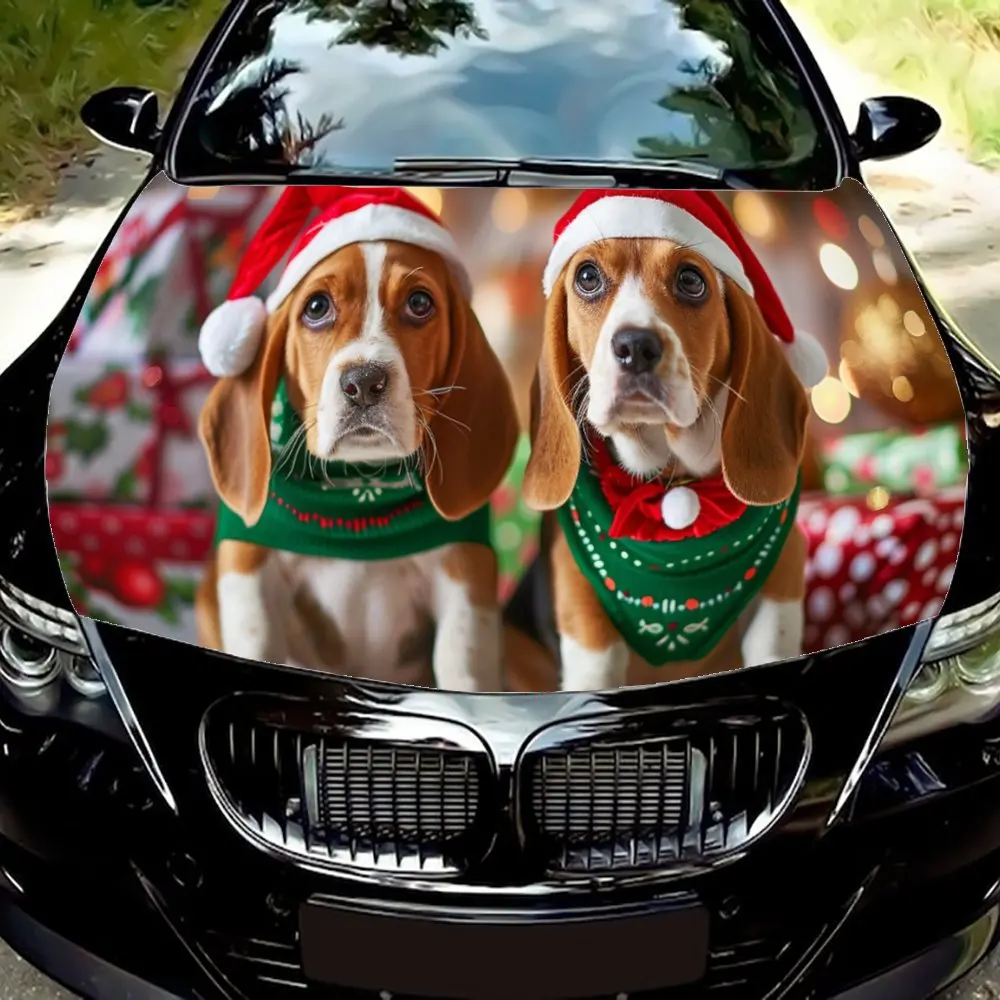 Рождественская наклейка на автомобиль Holly and Beagle Украсьте вашу машину с помощью этой праздничной рождественской наклейки на автомобиль с биглями, с классикой
Рождественская наклейка на автомобиль Holly and Beagle Украсьте вашу машину с помощью этой праздничной рождественской наклейки на автомобиль с биглями, с классикой