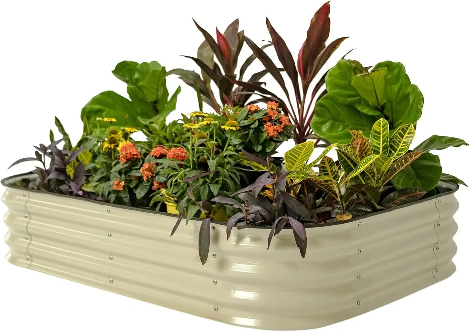 11" Tall 6-in-1 Modular Metal Raised Garden Bed, Oval Planter Box for Vegetables Flowers Patio, Rust Resistant, Pearl White
11" Tall 6-in-1 Modular Metal Raised Garden Bed, Oval Planter Box for Vegetables Flowers Patio, Rust Resistant, Pearl White