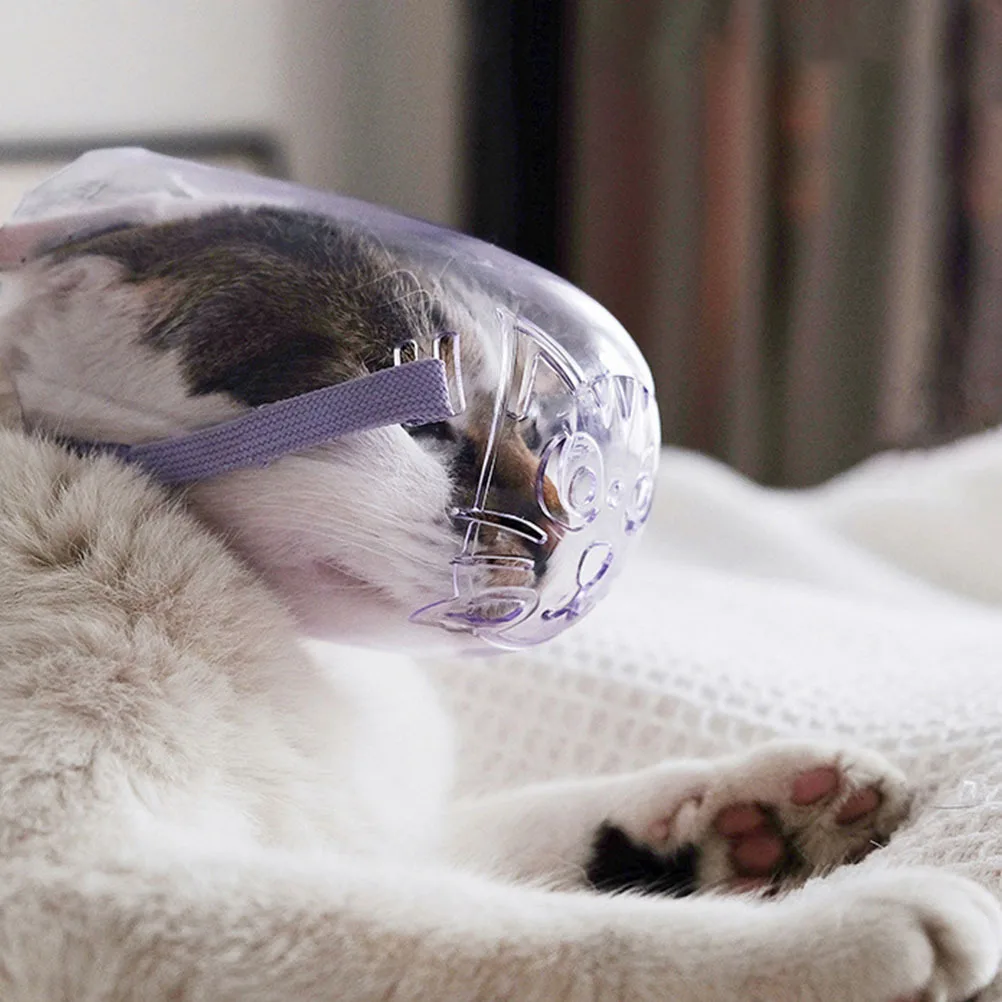 Cat Muzzle Basket Adjustable Breathable Mouth Cover for Cats Anti-Bark Anti-Bite Mask Pet Outdoor Use Cat Muzzle
Cat Muzzle Basket Adjustable Breathable Mouth Cover for Cats Anti-Bark Anti-Bite Mask Pet Outdoor Use Cat Muzzle