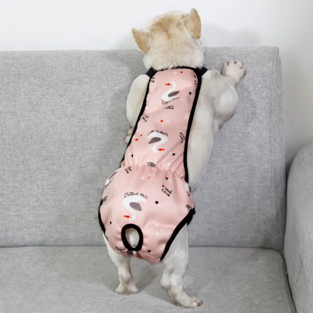Pet Menstrual Pants Waterproof Dog Diaper With Underwear Cartoon Pattern Women's Sanitary Underwear Shorts Pet Supplies
Pet Menstrual Pants Waterproof Dog Diaper With Underwear Cartoon Pattern Women's Sanitary Underwear Shorts Pet Supplies