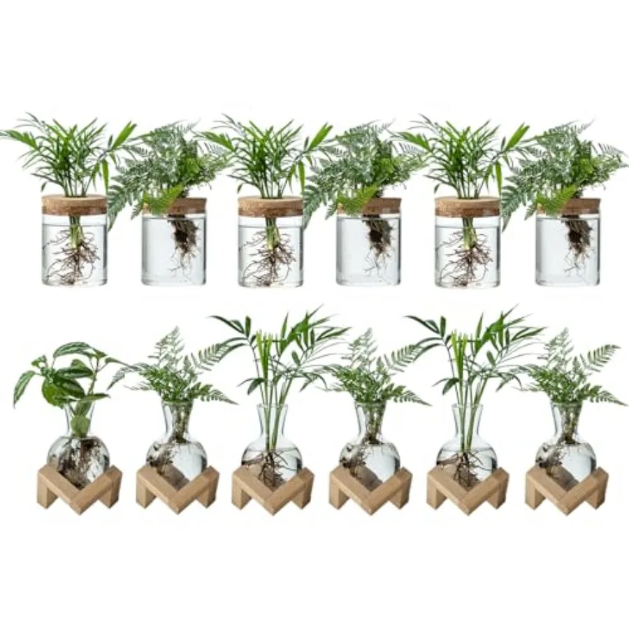 Plant Propagation Station 2 Style Glass Planter Terrarium Set for Hydroponic Plants Home Office Tabletop Decor Gardening Gifts
Plant Propagation Station 2 Style Glass Planter Terrarium Set for Hydroponic Plants Home Office Tabletop Decor Gardening Gifts
