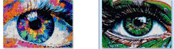 Latch hook rug kits with Pre-Printed Pattern Cross stitch embroidery kit Footprint Carpet with your needlework Eyes 69-102
Latch hook rug kits with Pre-Printed Pattern Cross stitch embroidery kit Footprint Carpet with your needlework Eyes 69-102