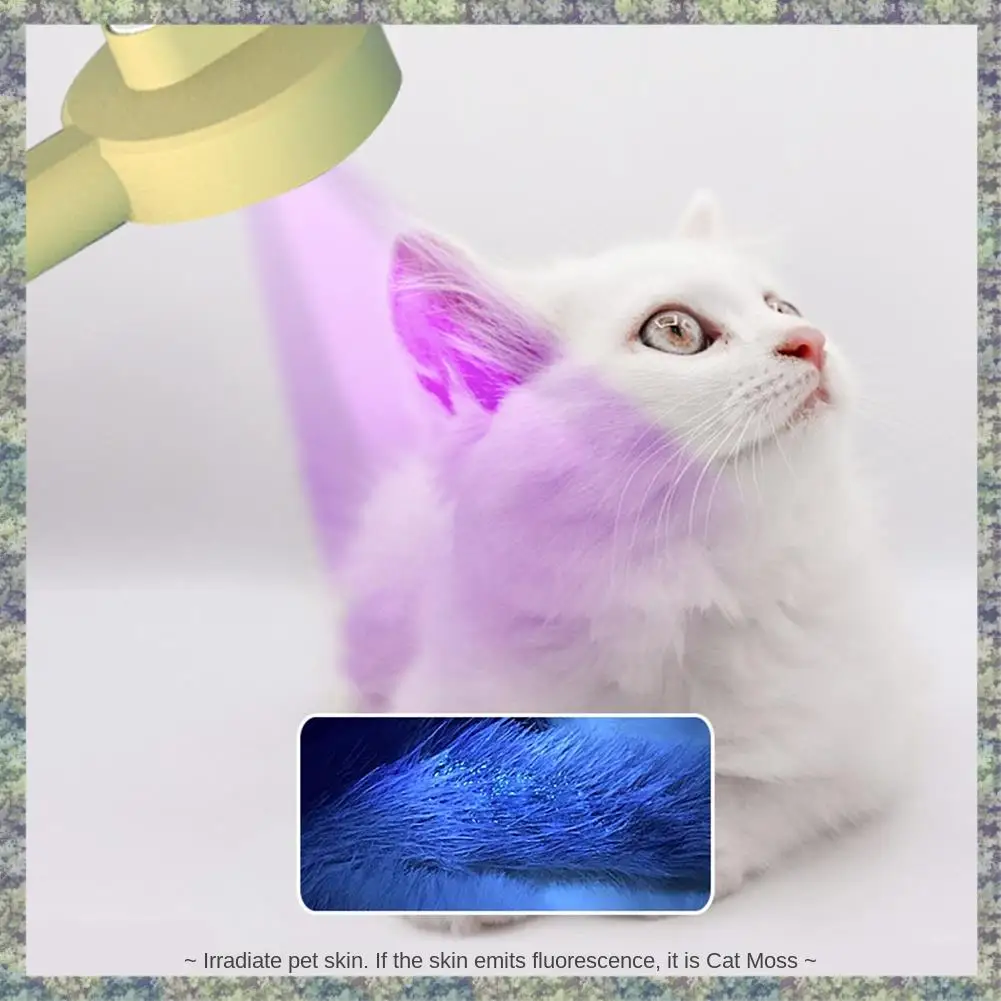 WON Pet Hair Remover Comb Brush UV Light Pet Grooming Brush To Floating Hair Massage Dogs Grooming Pet Supplies
WON Pet Hair Remover Comb Brush UV Light Pet Grooming Brush To Floating Hair Massage Dogs Grooming Pet Supplies