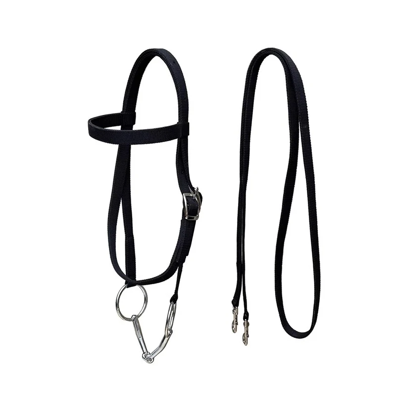 Double Layered Woven Tape Reinforced Water Chew Armature Reins Fork, Head Chew Ring Chew Mouth
Double Layered Woven Tape Reinforced Water Chew Armature Reins Fork, Head Chew Ring Chew Mouth