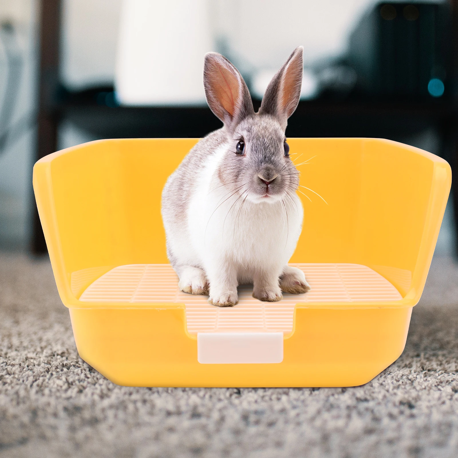 Plastic Rabbit Toilet Pet Bathroom Basin Mini Pee Can Supplies Anti spraying Urine Grids Easy Clean Durable Material Ideal Size
Plastic Rabbit Toilet Pet Bathroom Basin Mini Pee Can Supplies Anti spraying Urine Grids Easy Clean Durable Material Ideal Size