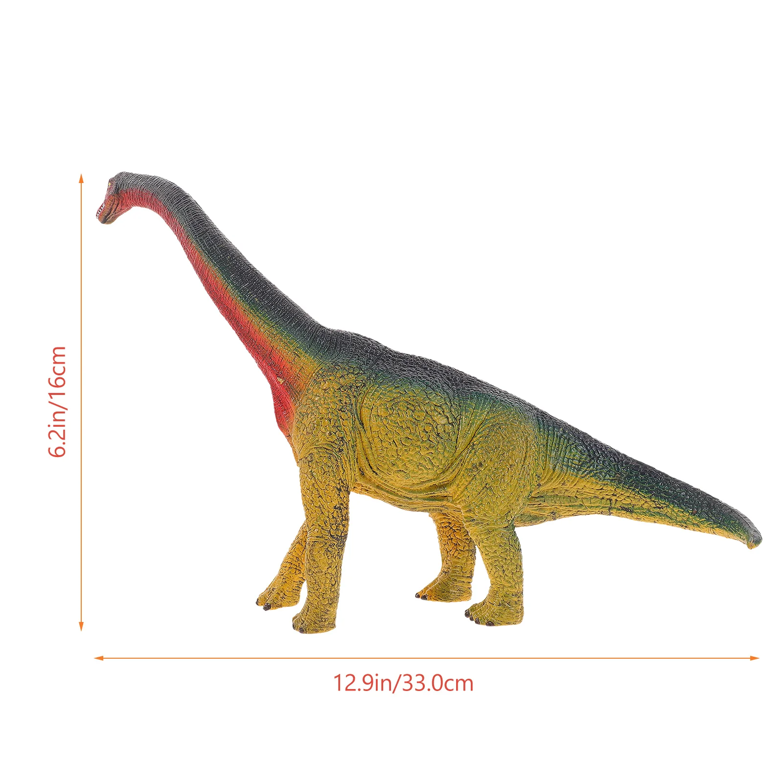 Educational Toys Simulation Brachiosaurus Model Kids Ornamental Dinosaur Statue for Child
Educational Toys Simulation Brachiosaurus Model Kids Ornamental Dinosaur Statue for Child