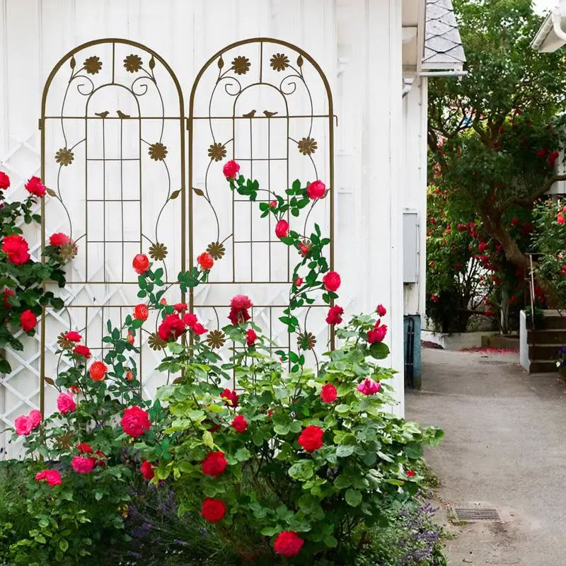 Металлическая садовая решетка, 2 шт., 71 x 19,7 дюйма, нержавеющая опора для вьющихся растений и цветов, коричневая
Металлическая садовая решетка, 2 шт., 71 x 19,7 дюйма, нержавеющая опора для вьющихся растений и цветов, коричневая