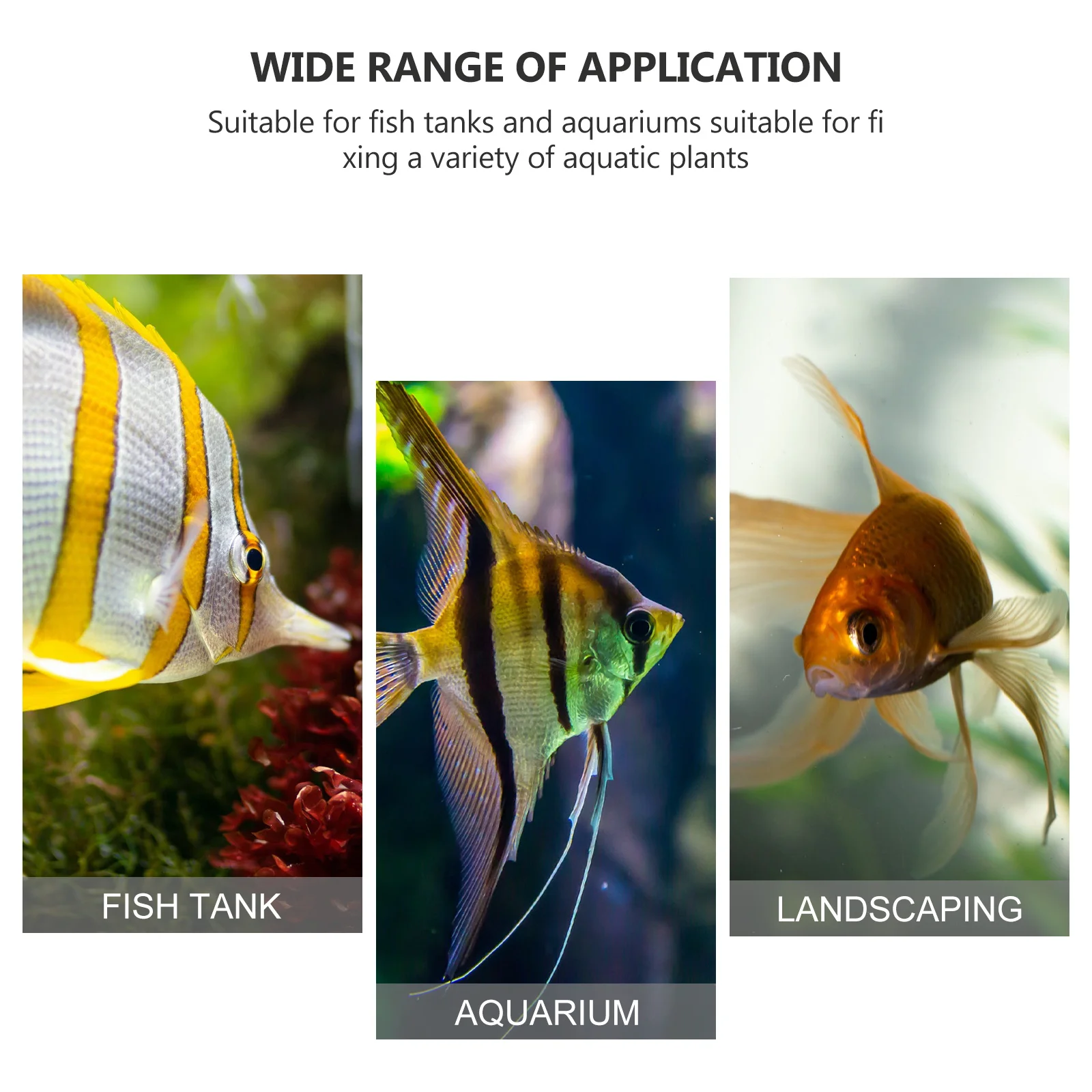 10Pcs Volcanic Rocks Ornament Natural Stone Aquarium Habitat Fish Shelter Easy Clean Long Lasting Elegant Aquarium Habitat
10Pcs Volcanic Rocks Ornament Natural Stone Aquarium Habitat Fish Shelter Easy Clean Long Lasting Elegant Aquarium Habitat