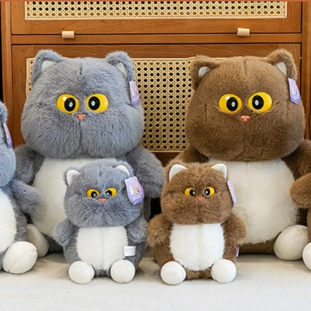 Мягкие игрушки, мультяшный кот с большими глазами, мягкий кавайный кот, милый пушистый кот, домашний декор
Мягкие игрушки, мультяшный кот с большими глазами, мягкий кавайный кот, милый пушистый кот, домашний декор