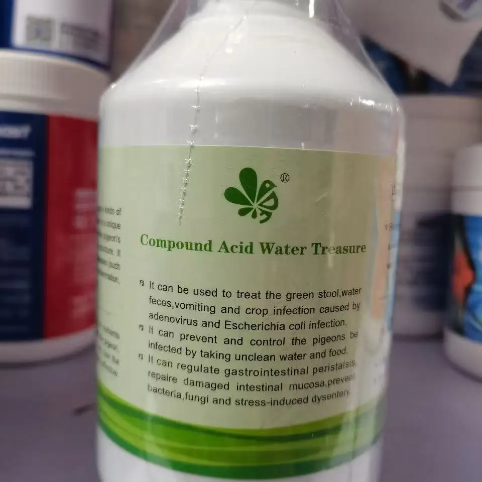 500ml Pigeon Gut Health Liquid, Acidic Blend for Digestive Care, Nutrient Absorption & Daily Maintenance
500ml Pigeon Gut Health Liquid, Acidic Blend for Digestive Care, Nutrient Absorption & Daily Maintenance