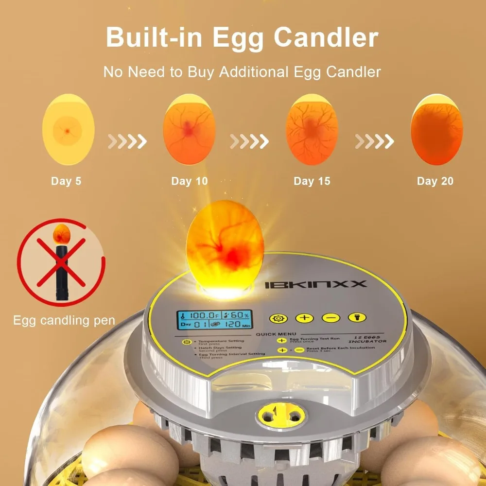 US Shipping Automatic Egg Incubator 12 Egg Capacity with Turner Temperature Humidity Control 360 View for Chicken Duck Quail
US Shipping Automatic Egg Incubator 12 Egg Capacity with Turner Temperature Humidity Control 360 View for Chicken Duck Quail