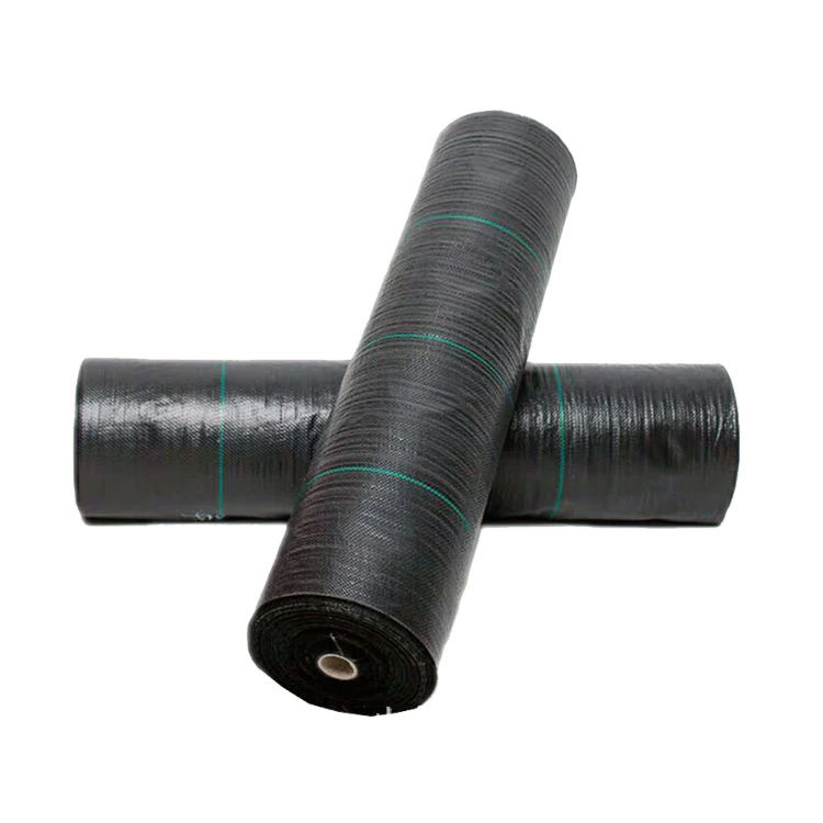 2025Agriculture Protection White or Silver Black Layers Plastic Ground Cover Mulch Sheet
2025Agriculture Protection White or Silver Black Layers Plastic Ground Cover Mulch Sheet