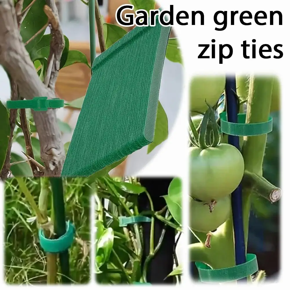 Садовые зеленые кабельные стяжки, устойчивые к УФ-излучению, регулируемые, с крючками и петлями, для поддержки и крепления растений, садовые садоводческие крепления-фиксаторы
Садовые зеленые кабельные стяжки, устойчивые к УФ-излучению, регулируемые, с крючками и петлями, для поддержки и крепления растений, садовые садоводческие крепления-фиксаторы