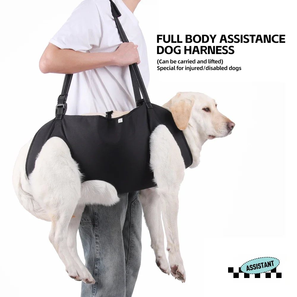 Dog Body Support Dog Lift Harness for Injured Elderly Dogs Disabled Pet Supplies petassistance belt
Dog Body Support Dog Lift Harness for Injured Elderly Dogs Disabled Pet Supplies petassistance belt