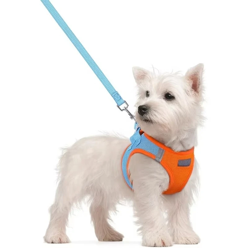 Custom Design Pet Harness Leash and Collar Set for Dog Accessories Sport Training Nylon Cat Collar with Pet Leashes Collars Kit
Custom Design Pet Harness Leash and Collar Set for Dog Accessories Sport Training Nylon Cat Collar with Pet Leashes Collars Kit