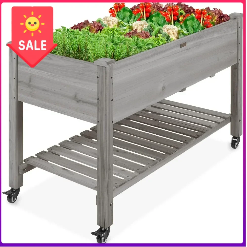 Hot salesBest Choice Products Raised Garden Bed 48x24x32-inch Mobile Elevated Wood Planter w/Lockable Wheels, Storage Shelf, Pro
Hot salesBest Choice Products Raised Garden Bed 48x24x32-inch Mobile Elevated Wood Planter w/Lockable Wheels, Storage Shelf, Pro