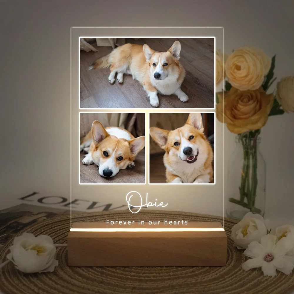 Personalized Glowing Acrylic Pet Portrait Luminous Artwork Custom with Pet Photo Text Soothing Memorial Keepsake for Pet Lovers
Personalized Glowing Acrylic Pet Portrait Luminous Artwork Custom with Pet Photo Text Soothing Memorial Keepsake for Pet Lovers