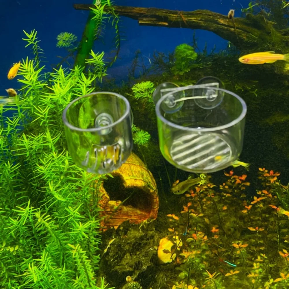 Transparent Glass Fish Food Bowl Feeding and Water Red Worm Cup With Strong Suction Cup Fish Tank Supplies Aquarium Accessories
Transparent Glass Fish Food Bowl Feeding and Water Red Worm Cup With Strong Suction Cup Fish Tank Supplies Aquarium Accessories
