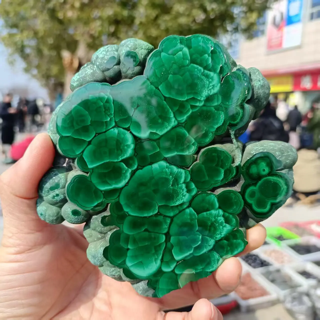 Natural Malachite Slice, Green Malachite, Quartz Crystal Ore, Mineral Reiki Treatment, Demagnetization
Natural Malachite Slice, Green Malachite, Quartz Crystal Ore, Mineral Reiki Treatment, Demagnetization