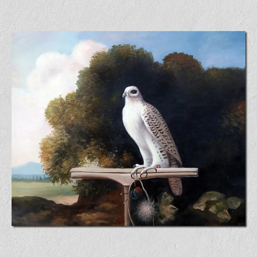 Canvas Art Classical Landscape Bird Oil Painting Hand Painted Greenland Falcon George Stubbs Artwork High Quality Wall Decor
Canvas Art Classical Landscape Bird Oil Painting Hand Painted Greenland Falcon George Stubbs Artwork High Quality Wall Decor