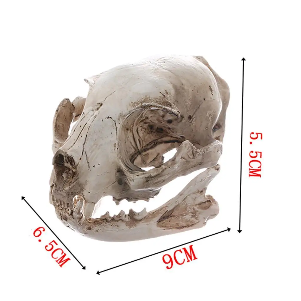 Resin Model Craft Skull Replica Cat Decoration Solid Pattern Traffic Keyword for Home Bar Ornament
Resin Model Craft Skull Replica Cat Decoration Solid Pattern Traffic Keyword for Home Bar Ornament