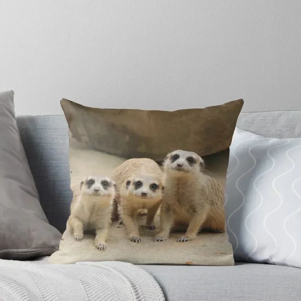 Our Cuteness Comes In A Package Deal, 3 For 1! Throw Pillow Decorative Cushion Christmas Covers For Cushions pillow
Our Cuteness Comes In A Package Deal, 3 For 1! Throw Pillow Decorative Cushion Christmas Covers For Cushions pillow