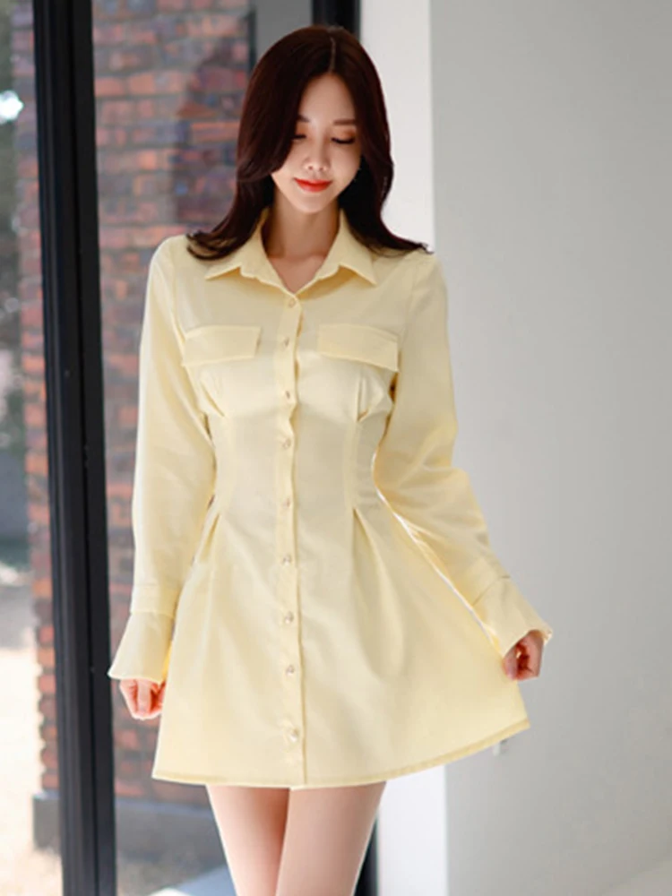 Elegant Women Dress Korean Spring Autumn Solid Casual Single Breasted Folds Slim Mini Club Street Femme Mujer Ladies Vestidos
Elegant Women Dress Korean Spring Autumn Solid Casual Single Breasted Folds Slim Mini Club Street Femme Mujer Ladies Vestidos