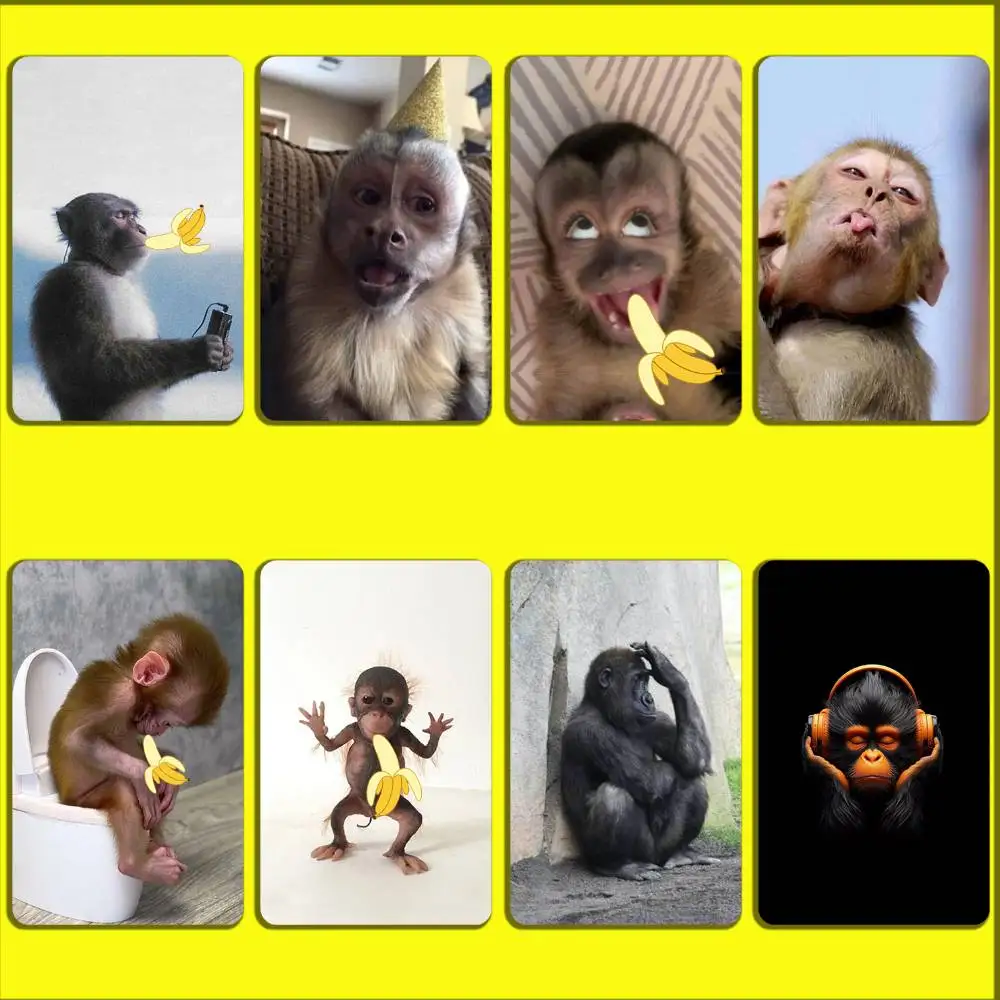 Cute Funny Monkey Music Card Stickers For Debit Bank Credit Cards Metro Bus Pass Sticker Decoration Cover Skin
Cute Funny Monkey Music Card Stickers For Debit Bank Credit Cards Metro Bus Pass Sticker Decoration Cover Skin