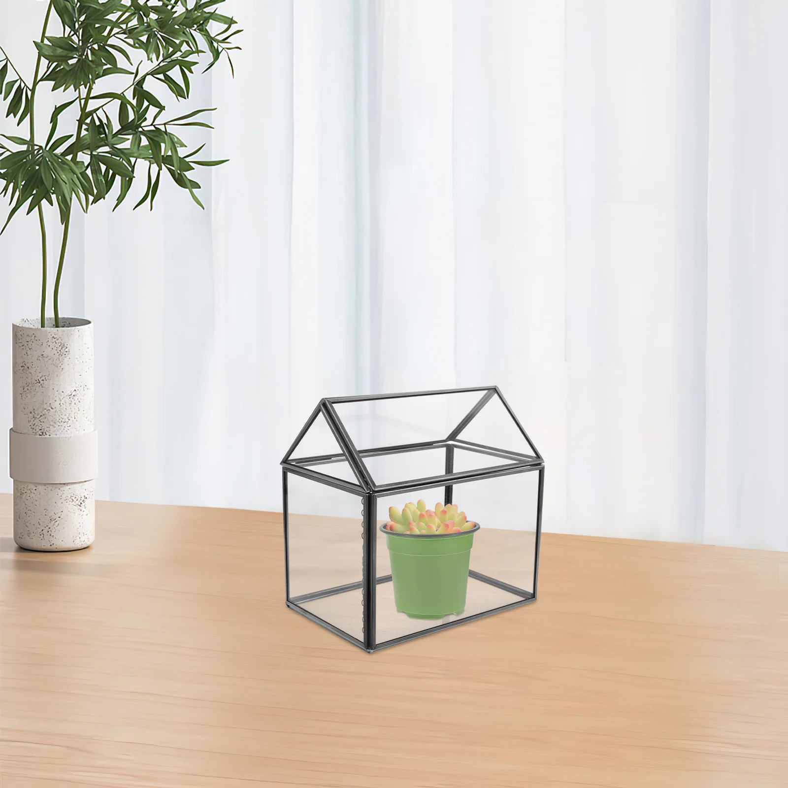 Clear Glass Planter Box Shape Handmade Terrarium for Succulents Air Plants Moss Indoor Tabletop Greenhouse Decor Geometric
Clear Glass Planter Box Shape Handmade Terrarium for Succulents Air Plants Moss Indoor Tabletop Greenhouse Decor Geometric