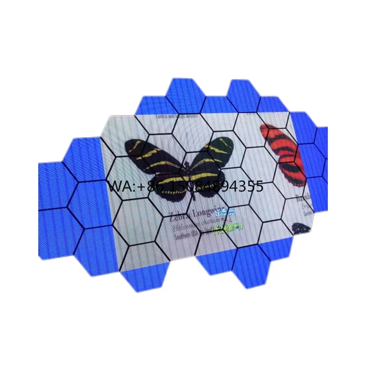 Irregular Splicing Screen Full Color Hexagonal Shaped Size 533 LED Club Advertising Indoor Display Screen
Irregular Splicing Screen Full Color Hexagonal Shaped Size 533 LED Club Advertising Indoor Display Screen