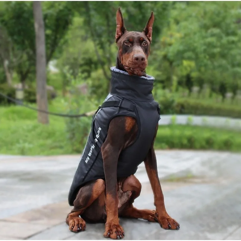 New Pet Clothing, Reflective and Warm Dog Cotton-padded Clothes, Fur Collar Large Dog Clothes, Pet Clothing
New Pet Clothing, Reflective and Warm Dog Cotton-padded Clothes, Fur Collar Large Dog Clothes, Pet Clothing