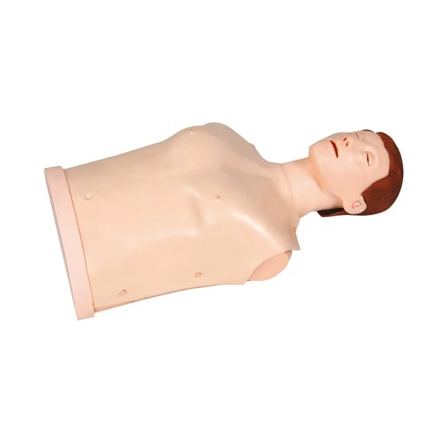 Half-body CPR Training Manikin GD/CPR10170
Half-body CPR Training Manikin GD/CPR10170