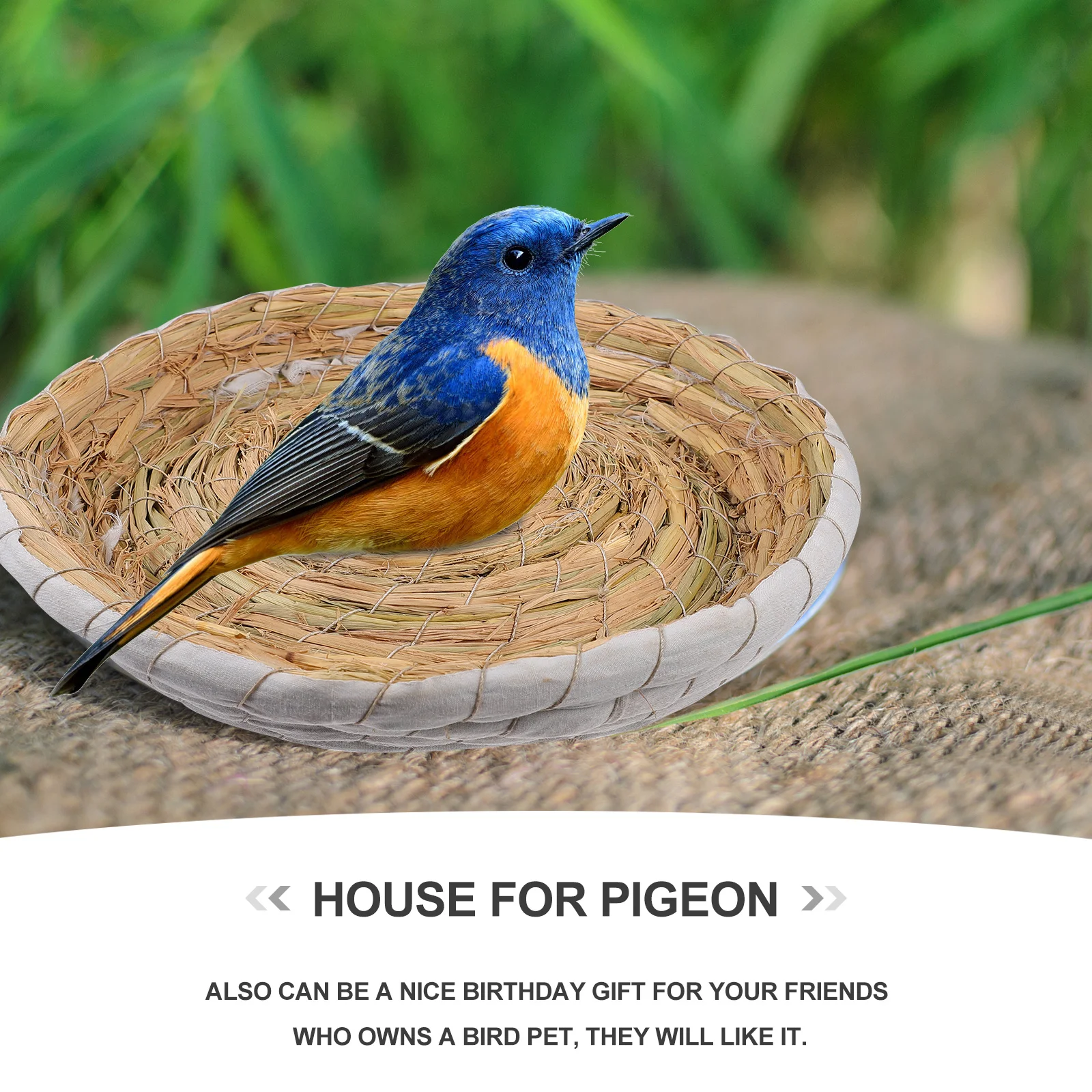 2Pcs Handwoven Bird Nest Premium Grass Woven Nest for Pet Pigeon Comfortable Breeding Space Strong Breathable Design Home Use
2Pcs Handwoven Bird Nest Premium Grass Woven Nest for Pet Pigeon Comfortable Breeding Space Strong Breathable Design Home Use