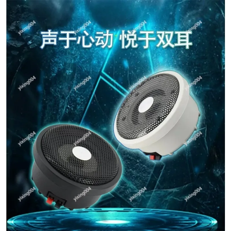 Indoor Outdoor Passive Ceiling Speaker, Waterproof Round Loudspeaker for Public Area
Indoor Outdoor Passive Ceiling Speaker, Waterproof Round Loudspeaker for Public Area