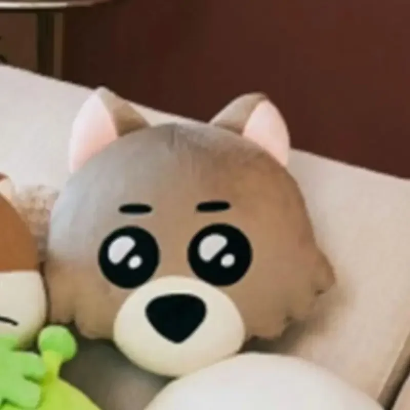 Boynextdoors Plush Boynextdoors Keychain Kpop Boynextdoors Plushie Merch Boy Next Door Doll Blind Box Keyring Peluche Gift
Boynextdoors Plush Boynextdoors Keychain Kpop Boynextdoors Plushie Merch Boy Next Door Doll Blind Box Keyring Peluche Gift