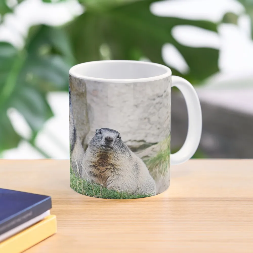 Marmots Coffee Mug Thermal Cups For Cups Set Cups Ands Anime Mug
Marmots Coffee Mug Thermal Cups For Cups Set Cups Ands Anime Mug