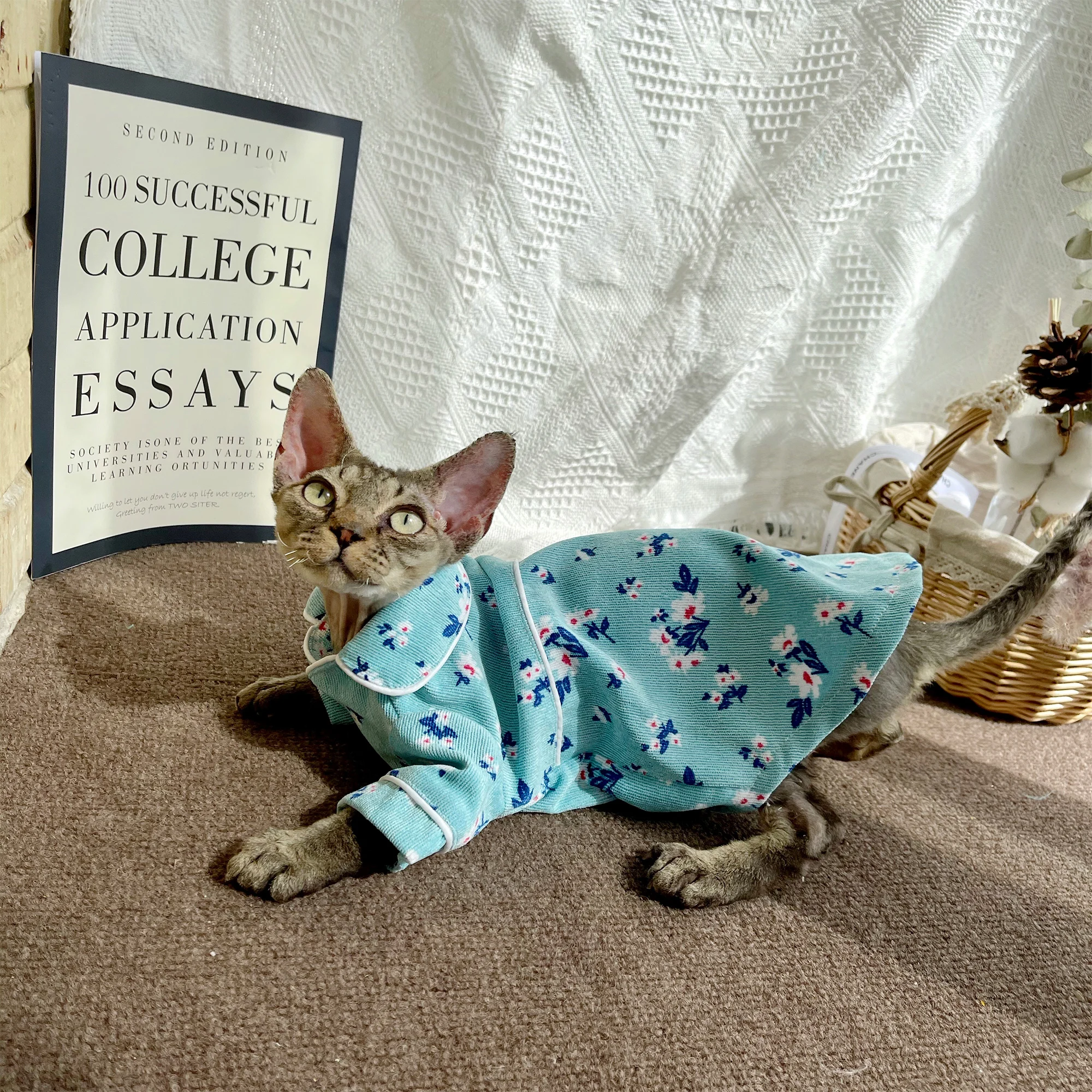 Spring Summer 100% Cotton Pajamas for Sphynx Cat Clothing Soft Blue Coat for Female Male Cats Elestic T-shirt For Devon Rex
Spring Summer 100% Cotton Pajamas for Sphynx Cat Clothing Soft Blue Coat for Female Male Cats Elestic T-shirt For Devon Rex