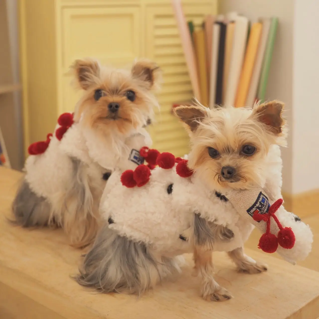 Милая одежда для щенков и кошек, зимний белый флисовый теплый жилет с капюшоном и шарфом для маленьких и средних собак, одежда для домашних животных, уличный жилет
Милая одежда для щенков и кошек, зимний белый флисовый теплый жилет с капюшоном и шарфом для маленьких и средних собак, одежда для домашних животных, уличный жилет