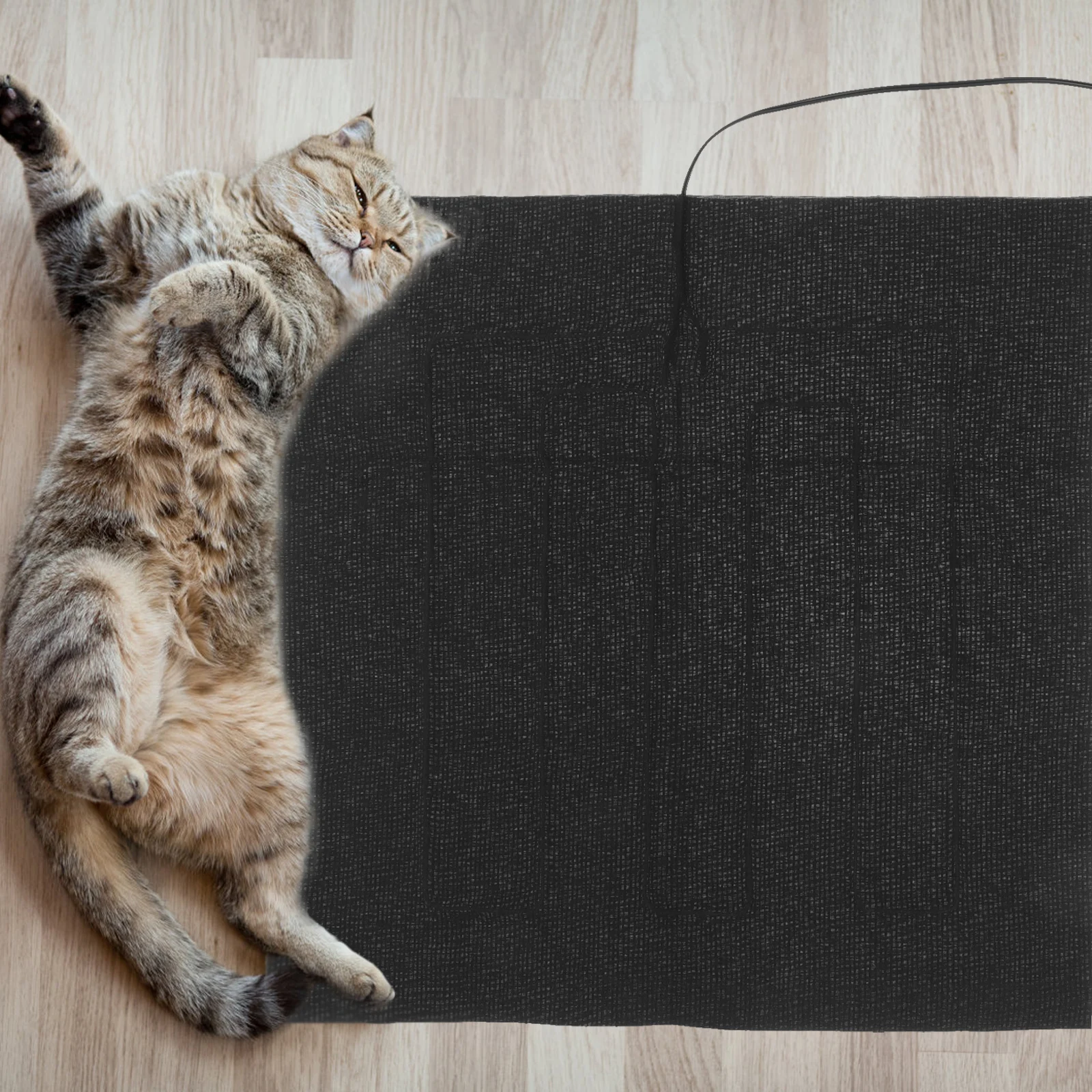 Pet Heating Pad USB Heated Mat Portable Reptile Cushion Warm Sleeping Pad for Cats Dogs Reptiles Heating Mat Bird Electric
Pet Heating Pad USB Heated Mat Portable Reptile Cushion Warm Sleeping Pad for Cats Dogs Reptiles Heating Mat Bird Electric